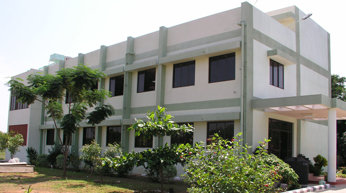 The Octagon